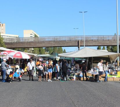 Coronavírus cancela feira dos Relógio, da Ladra e das Galinheiras em Lisboa