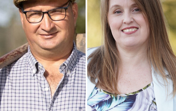 francisco tomé, ana sofia