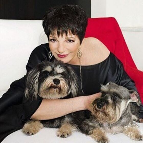 liza minnelli