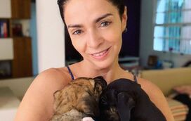 Cláudia Ohana deu dois cães para adoção e está a ser criticada