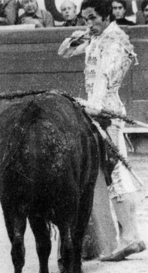 Mário Coelho prepara-se para matar o touro, na Praça de Toiros Daniel do Nascimento, na Moita. Foi a julgamento e teve pena suspensa