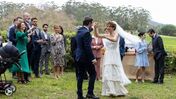Novela Quer o Destino
