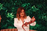 Maria Botelho Moniz