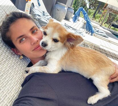 O que é isto?! Sara Sampaio mostra atributos com micro-biquíni... numa altura em que está solteira