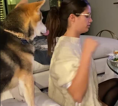 Acusada de ser 'má' para o cão, Sara Sampaio responde à letra aos críticos