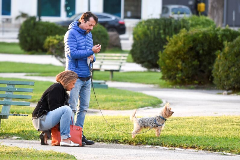 antónio pedro cerdeira, susana silva