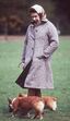 isabel ii, corgis