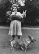 isabel ii, corgis