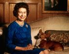 isabel ii, corgis