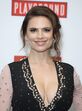 Hayley Atwell