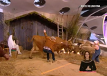A Noite de Cristina