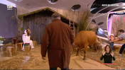 A Noite de Cristina