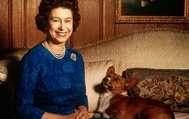 Revelado drama da rainha Isabel II: Saúde já a impede de passear os seus amados cães corgis... e recusa aparecer em cadeira de rodas
