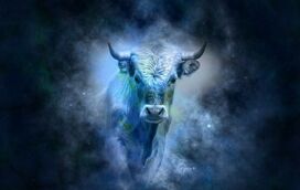 "Touro está no limiar de uma boa gestão de recursos e de um bom ano". As previsões de Maya para 2022