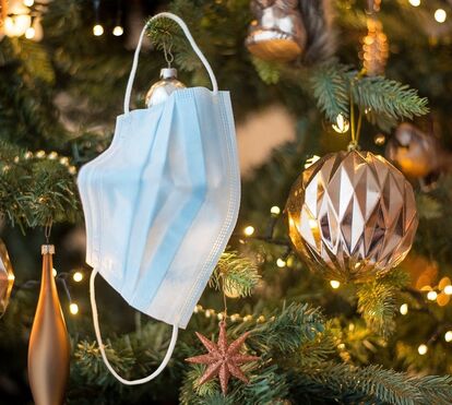 Portugueses respondem! Bolo Rei é mesmo o doce de Natal preferido da maiorias