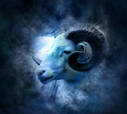 'Carneiro começa o ano de forma difícil'. Saiba quais são as previsões para 2023