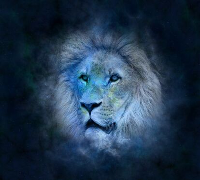 'Leão tem um ano de muita luta, em que vai ser obrigado a tomar decisões'. As previsões de Maya para 2023