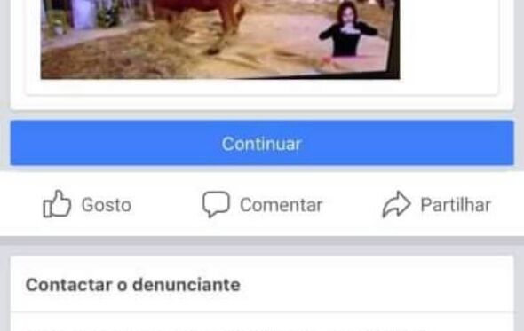 cristina ferreira, vídeo, vaca