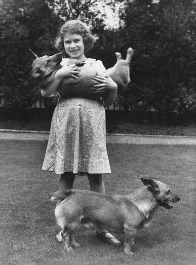 isabel ii, corgis