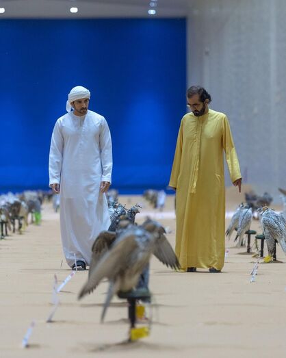O príncipe Fazza