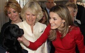 Letizia acusada de maldade e de ser fingida: "Odeia animais e matou o cão de Felipe"