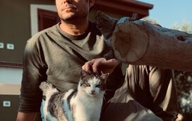 Depois de perder em tribunal, Julio Iglesias mantém distância do filho português