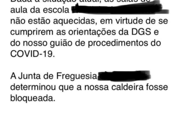 bruno nogueira