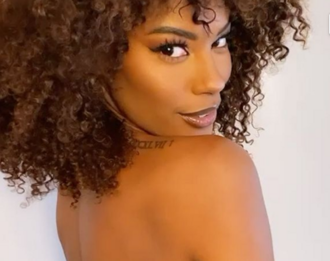 Sharam Diniz, Modelo