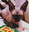 cristiano ronaldo, georgina rodríguez, gato, pepe