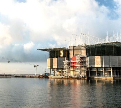 Sabia que pode visitar o Oceanário de Lisboa em época de confinamento? Descubra como