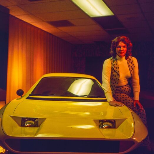 The Lady and the Dale