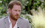 As palavras de Harry sobre o irmão, William: "Tem sido muito difícil"