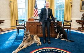 'Bad dog!': Cães de Joe Biden foram afastados da Casa Branca