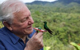 Sir David Attenborough: 100 anos do homem que trouxe o mundo selvagem para as nossas casas e salvou a alma do Planeta