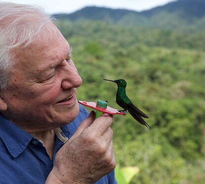 Sir David Attenborough: 100 anos do homem que trouxe o mundo selvagem para as nossas casas e salvou a alma do Planeta