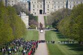 windsor