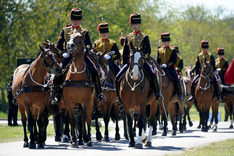 windsor