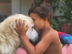 Cão de Tânia Ribas de Oliveira