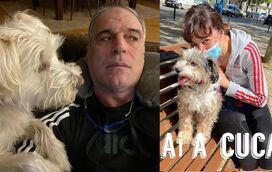 Rodrigo Guedes de Carvalho adota cadela que tinha sido resgatada e estava num estado deplorável 