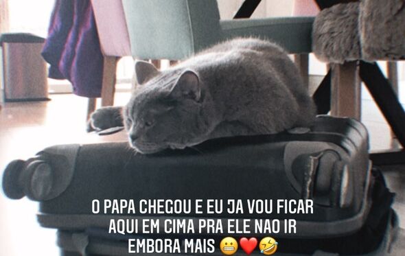 carolina loureiro