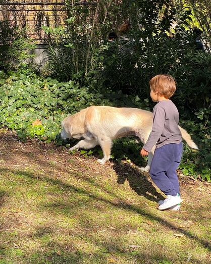 Cão de Tânia Ribas de Oliveira
