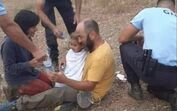 O que falta saber. Quem são os pais de Noah que se mudaram para Proença-a-Velha e vivem da agricultura biológica