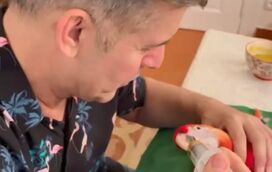 Veja João Baião a mimar o seu novo animal de estimação