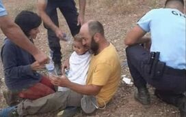 O que falta saber. Quem são os pais de Noah que se mudaram para Proença-a-Velha e vivem da agricultura biológica