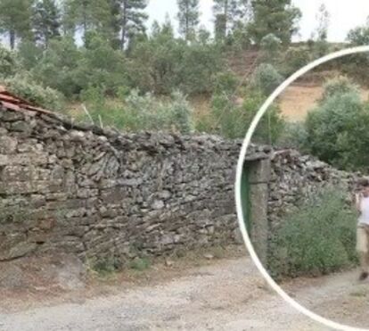 O momento em que a mãe de Noah recebe a notícia de que o filho está vivo