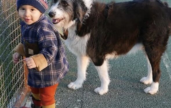 Noah e a cadela Melina