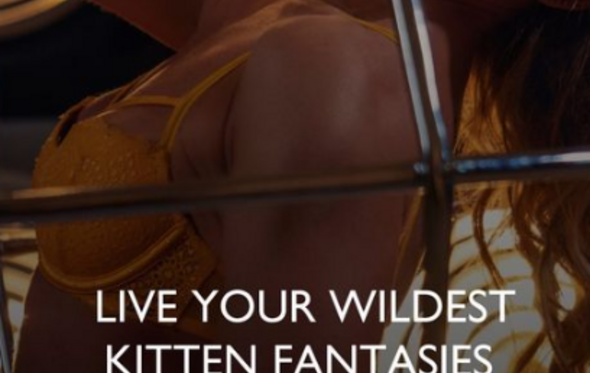 Killing Kittens