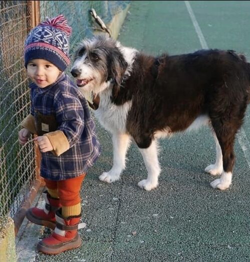 Noah e a cadela Melina