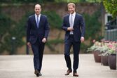 Harry, William, Diana, estátua