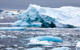 Nações Unidas confirmam temperatura recorde na Antártida em 2020